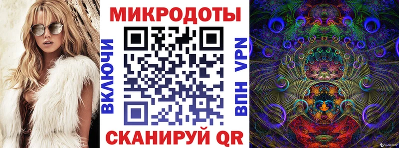 Галлюциногенные грибы Psilocybine cubensis  как найти   Волгоград 